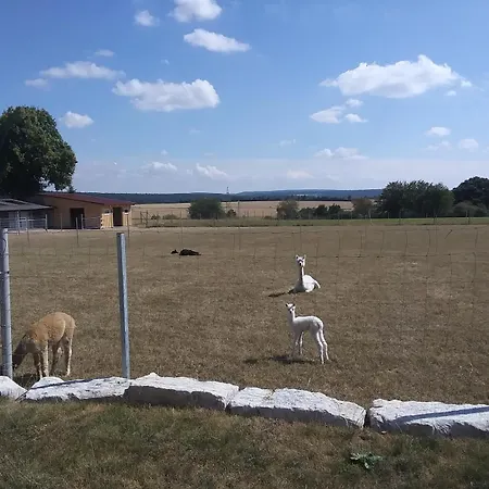 Auszeit-raeumlichkeiten Appartamento